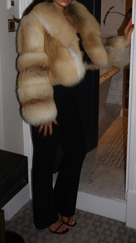 Light Brown Short Fur